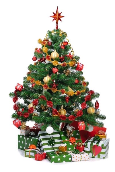 Почему на Рождество ставят елки?