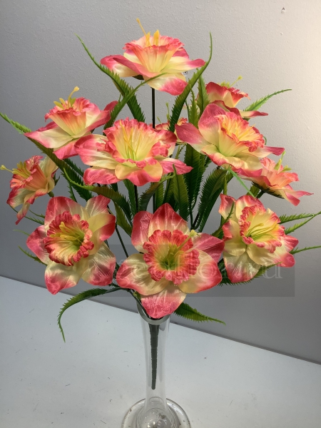    , 11 