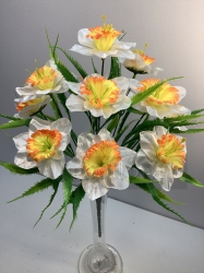    , 11 