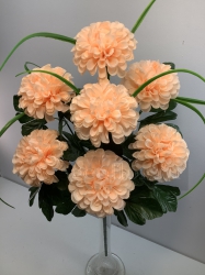  , 7 