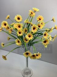     , 11 