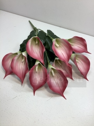  , , 9  ( )