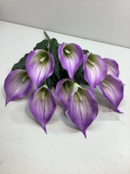  , , 9  ( )