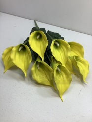  , , 9  ( )