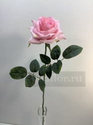 Одиночная роза