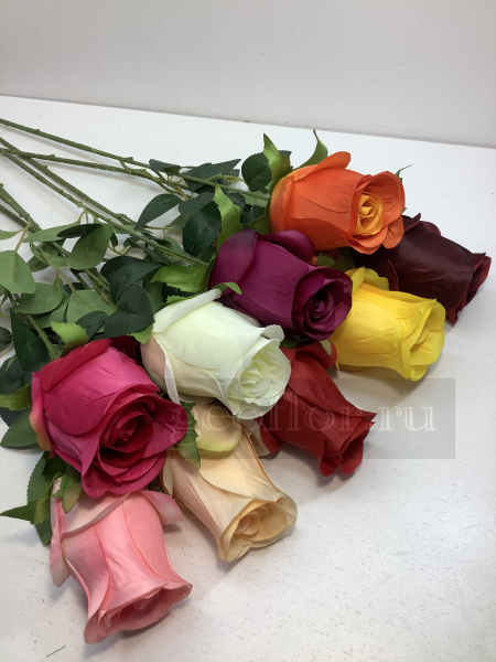 Одиночная роза бутон