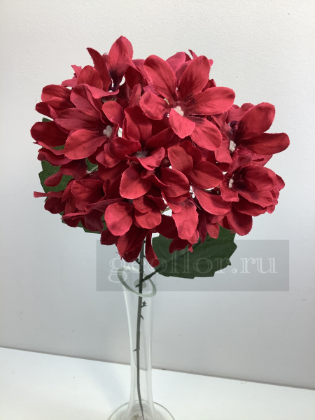 Одиночная гортензия