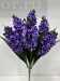 Букет гиацинтов, 7 г за 299.00 руб.
