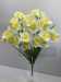 Букет нарциссов, 12 в, 36 г за 289.00 руб.
