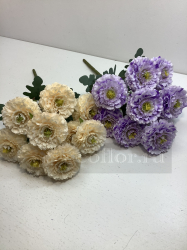 Букет циний, 9 г