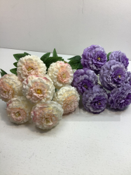 Букет циний георгиновидных, 7 г