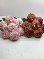 Букет циний георгиновидных, 7 г