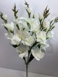 Букет гладиолусов, 5 в