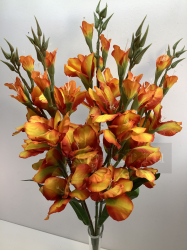 Букет гладиолусов, 5 в