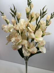 Букет гладиолусов, 5 в