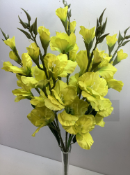 Букет гладиолусов, 5 в