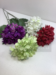 Одиночная гортензия